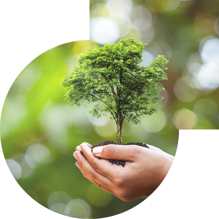 關懷人類、文化、環境與社會